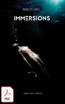 IMMERSIONS (PDF)